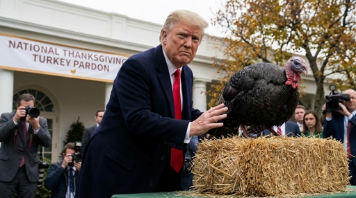 shutterstock_2706773209.jpg A man in a suit interacting with a turkey during a Thanksgiving pardon ceremony