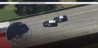 Wild Chase Exposes Stunning Police Lapse