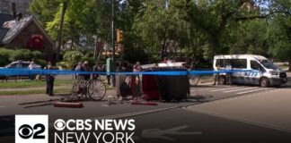 18-year-old dies after horse carriage crash in Central Park