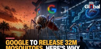 Google's 32 Million Mosquito Plan Explained: Why the US Could Soon See Lab-Bred Insects