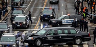 Multiple police vehicles at the scene of a traffic incident