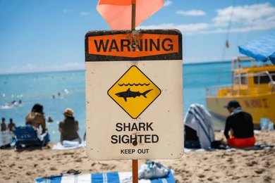 Shark warning sign on a busy beach