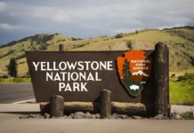 Tourist Tossed—But Who’s Really Accountable? Map showing Yellowstone and surrounding locations.
