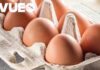 1.6 million eggs recalled after potential salmonella contamination