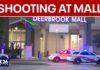 2 injured, 1 detained after shooting at Deerbrook Mall in Humble