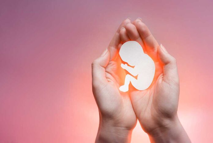 Hands holding a paper-cut fetus silhouette.